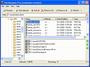 Screenshot of File Renamer Pro